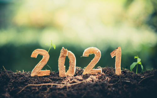 We can help you go greener this January