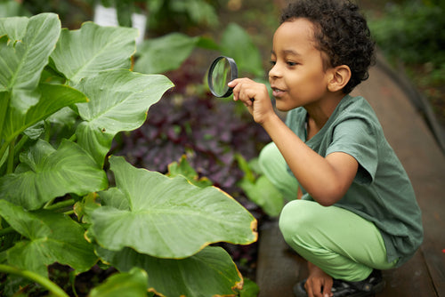 Happy Earth Day 2021 – teach your little ones how to keep their footprint tiny