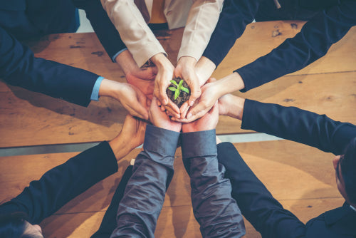 Business people all joining hands around a tiny plant