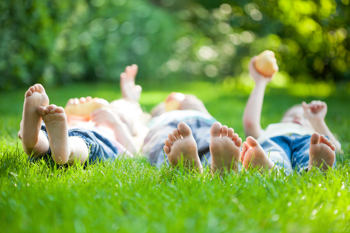 5 Tips For A Plastic-Free Picnic