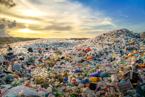 plastic pollution 