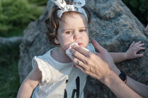Which wipes are the most eco-friendly?